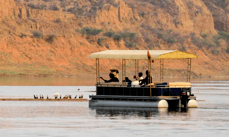 Chambal River Safari
