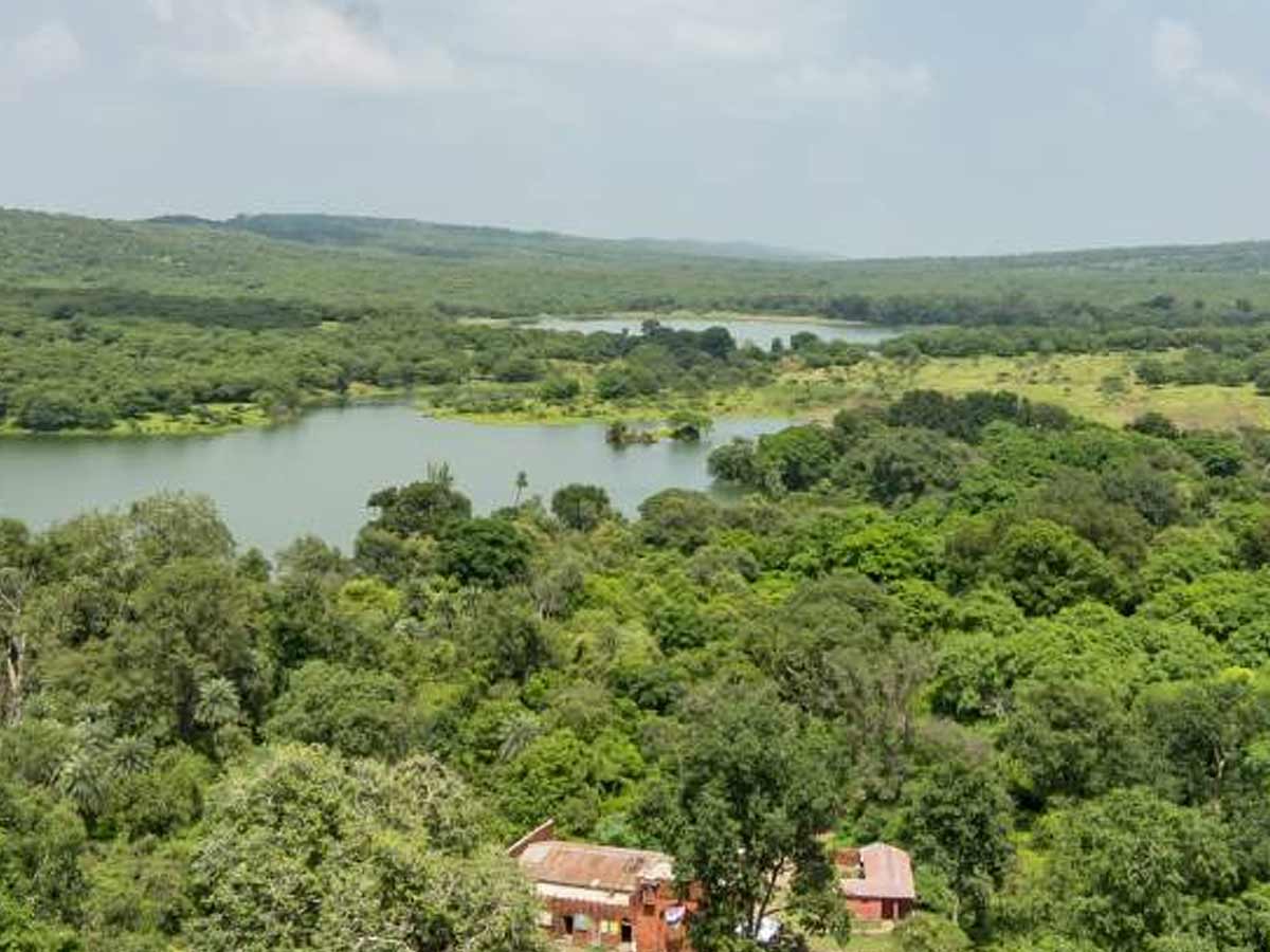 Kachida Valley Ranthambore